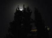 noche