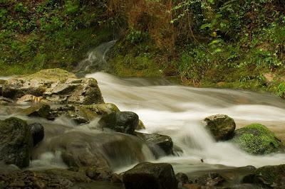 Fotografias cantabras