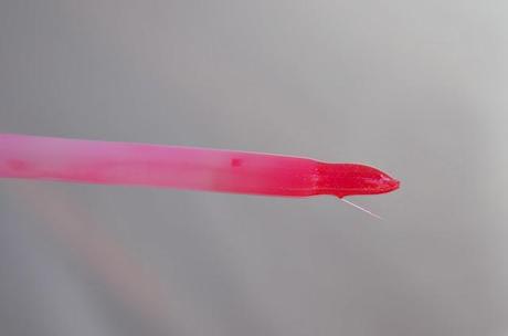 Love Alert Dazzleglass by M.A.C