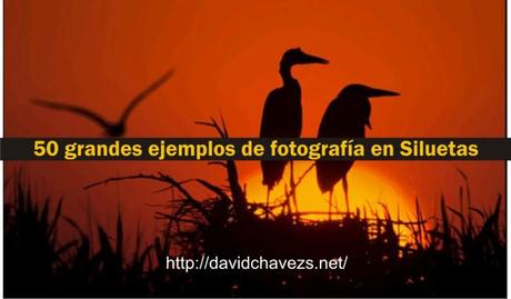 50 grandes ejemplos de fotografía en Siluetas (Inspiración)