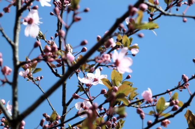 Stepping into spring