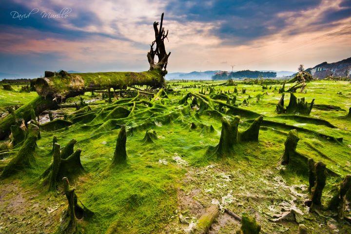 Fotografia de la semana