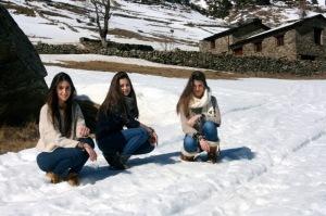 SWEET FRIENDS
