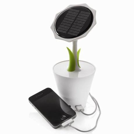 Planta que se carga al sol