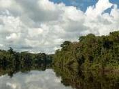 Excursiones selva Iquitos, albergues naturaleza