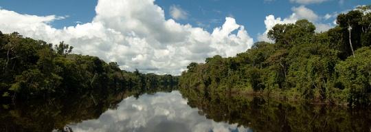 Excursiones por la selva de Iquitos, albergues y naturaleza