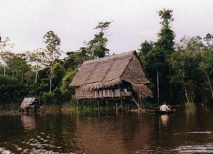 Excursiones por la selva de Iquitos, albergues y naturaleza