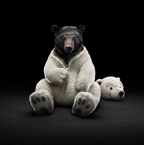 mentira y verdad Algo de Aristóteles: lo verdadero y lo falso