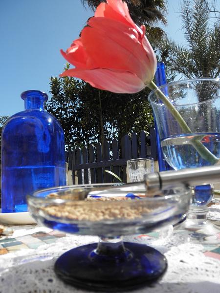 DESAFIO BLAD 2, un te para dos