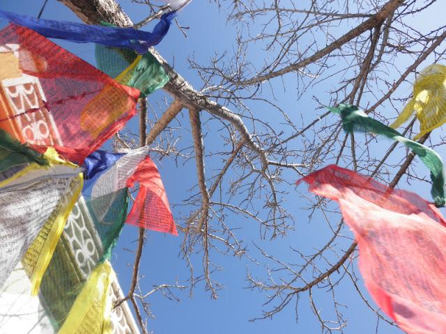 DESAFIO BLAD 2, un te para dos