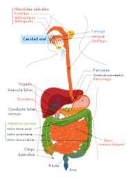 http://medicina-casera.com