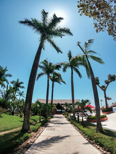 Grand Decameron Panama, A Trademark All Inclusive Resort, reafirma su compromiso con el medio ambiente al operar con energía 100% renovable.