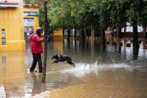 Previsión meteorológica para este domingo en C-LM: cielos nubosos y temperaturas máximas sin cambios Previsión meteorológica para este domingo en C-LM: cielos nubosos y temperaturas máximas sin cambios