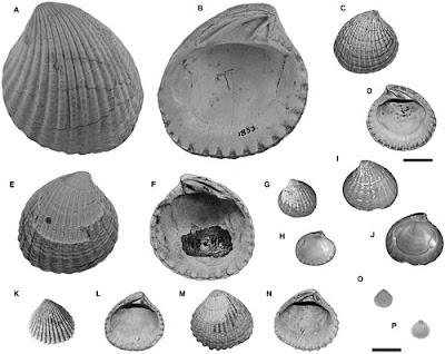 Los mundos prehistóricos de Hector Germán Oesterheld