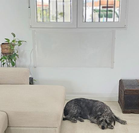 Lanzan un radiador ‘made in Murcia’ que ahorra un 70% en electricidad Lanzan un radiador ‘made in Murcia’ que ahorra un 70% en electricidad