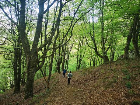 Descendiendo por las revueltas
