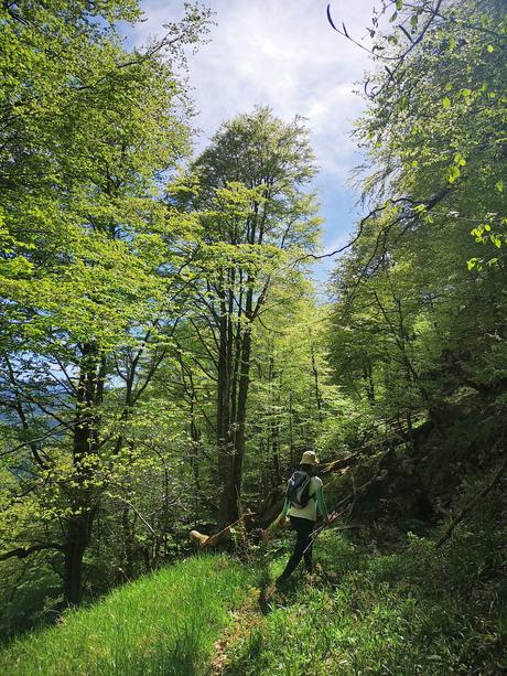 Paso tallado en la roca