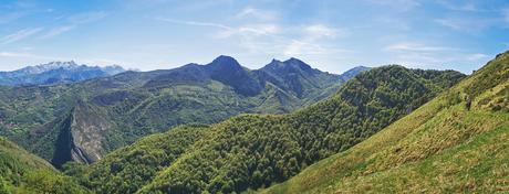 Bosque de Formistaña
