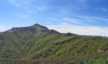 Bosque de Pandellanza y Maciédome