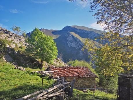 Pista hacia el collado Bellucre