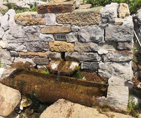 Praderías del hayedo