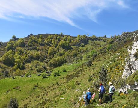 Majada de Brañadosu