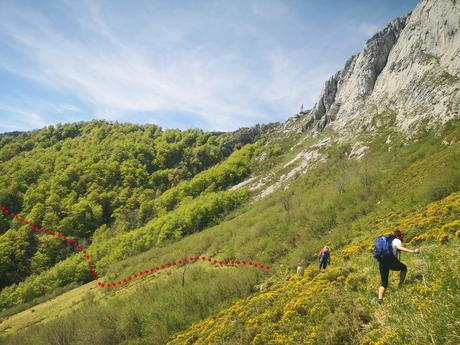 Interior del bosque de Formistaña