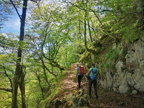 Majada de Brañadosu