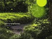 Lemondaze estrenan Polari