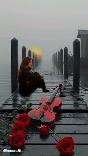 6.377 - EXISTEN ROSAS... 6.377 - EXISTEN ROSAS...