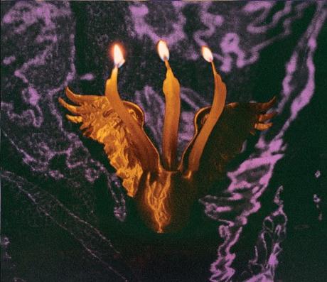 Shmulikraut - Guts Voyage (2025)