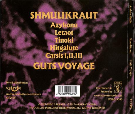 Shmulikraut - Guts Voyage (2025)