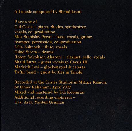 Shmulikraut - Guts Voyage (2025)