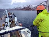 capturas mundiales pescado blanco posee certificado sostenibilidad