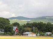 teletrabajo mueve talento mira mundo rural