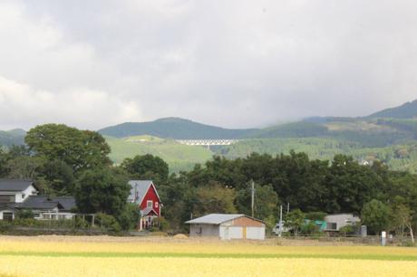 El teletrabajo mueve talento y mira al mundo rural