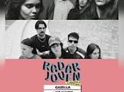 Gazella Haven Sótano