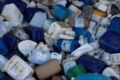 Soja: huele como el dinero, arde como el infierno