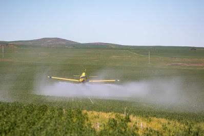 Un proyecto a pedir del agronegocio: Fumigarte a diez metros
