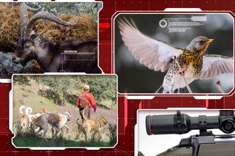 Nuevo espacio de Trofeo Caza; un entorno interactivo con acceso libre y contenidos especializados