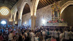 Un estudio alerta de la desaparición de la alandra ricotí en Toledo y de que está al borde de la extinción en Albacete