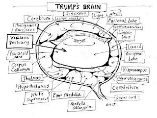 ¿QUÉ SE CONSIDERA NOTICIA BAJO EL MANDATO DE TRUMP? ESPECIAL 1 DE HOY VIERNES, 7 DE NOVIEMBRE DE 2025