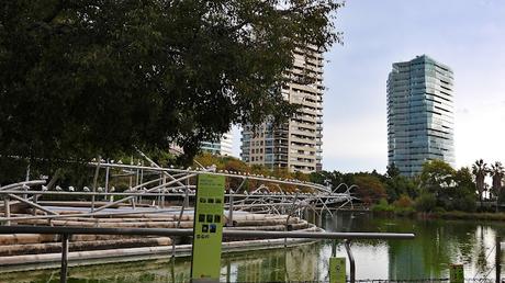 Gaviotas viajeras: THY2 ( de Polonia)