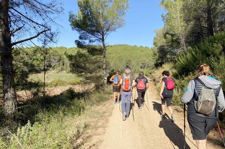 El ayuno prolongado. La terapia ancestral que rejuvenece cuerpo y mente en un mundo acelerado