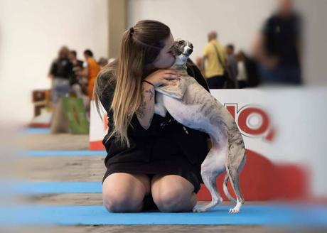 Copa de Criadores 2025; Ética, genética y bienestar en la elección del mejor perro del año Copa de Criadores 2025; Ética, genética y bienestar en la elección del mejor perro del año
