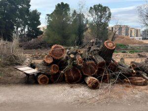 El Gobierno de C-LM abrirá en 2026 cinco nuevas residencias público-privada, que ofertarán 440 plazas El Gobierno de C-LM abrirá en 2026 cinco nuevas residencias público-privada, que ofertarán 440 plazas