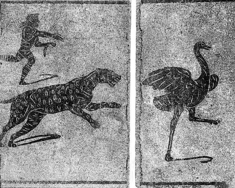 Venatio, captura de animales en la antigua Roma (II)