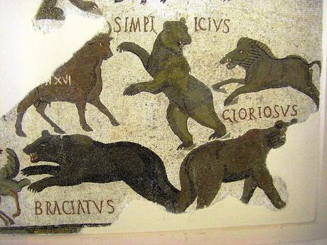 Venatio, captura de animales en la antigua Roma (II)