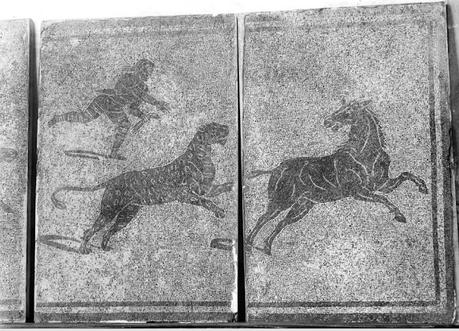 Venatio, captura de animales en la antigua Roma (II)