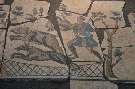 Venatio, captura de animales en la antigua Roma (II)